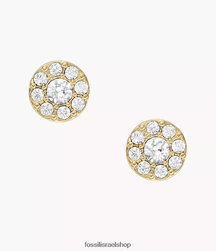 Fossil נשים כולם מוערמים עגילי נירוסטה צמודים L8J0B61078 תכשיט גוון זהב