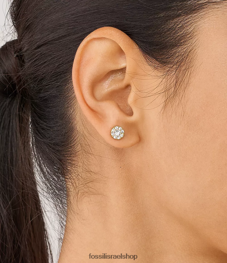 Fossil נשים כולם מוערמים עגילי נירוסטה צמודים L8J0B61078 תכשיט גוון זהב