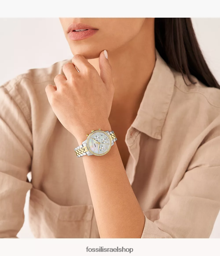 Fossil נשים שעון נייטרה כרונוגרף מנירוסטה L8J0B654 שעון דו-גוני